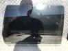 Rear door window glass 