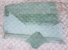 Rear door window glass 
