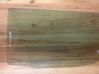 Rear door window glass 