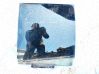 Rear door window glass 