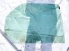 Rear door window glass 