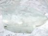 Rear door window glass 