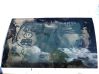 Rear door window glass 