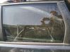 Rear door window glass 