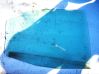 Rear door window glass 