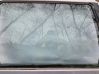 Rear door window glass 