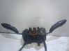 Wiper turn signal indicator stalk/switch 9340027670