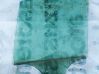 Rear door window glass 