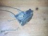 Cerradura de puerta delantera 
