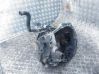 Manual 5 speed gearbox 20CN39