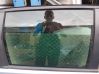 Rear door window glass AS3