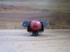 Botón interruptor de luz de peligro 