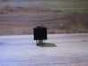 Sonstige Relais 93BG14N089C1B