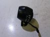 Horn signal 
