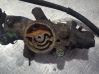 Engine coolant pipe/hose 9609493180