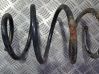 Front coil spring 