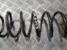 Rear coil spring 