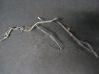 Fuel line/pipe/hose 