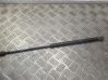 Tailgate/trunk strut/damper 