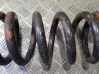 Front coil spring 