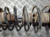 Rear coil spring 