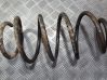 Front coil spring 
