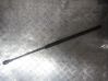 Tailgate/trunk strut/damper 9048127024478