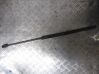 Tailgate/trunk strut/damper 9048127024478
