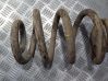 Front coil spring 