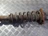 Rear shock absorber/damper 