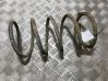 Front coil spring 