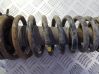 Front coil spring 