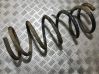 Front coil spring 
