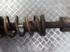 Front coil spring 