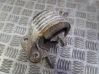 Engine mount bracket XS617M121AB