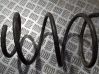 Rear coil spring 