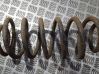 Rear coil spring 