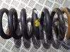 Front coil spring 