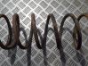 Rear coil spring 