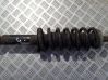 Rear shock absorber/damper 