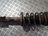 Front coil spring 