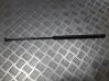 Tailgate/trunk strut/damper 4X43N406A10AC