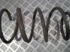 Front coil spring 