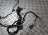 Otros cableados 5F4971029AQ