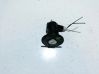 Interruptor de encendido/apagado del airbag de pasajero 46480451