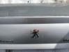 Tailgate/trunk/boot lid SIDABRINIS