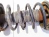 Front coil spring 