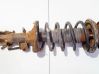 Front shock absorber/damper 