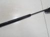 Tailgate/trunk strut/damper 30634580