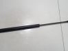 Tailgate/trunk strut/damper 30634580